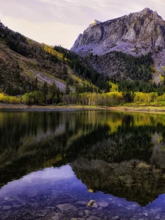пейзаж, природа, красота