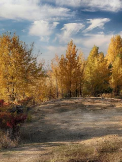 пейзаж, природа, красота