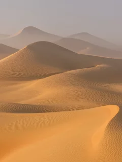 пейзаж, природа, красота