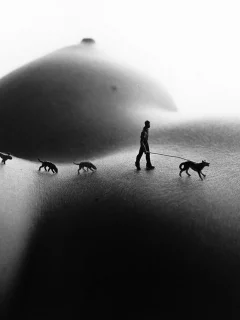 bodyscapes, арт, искусство, винтаж, девушка, секси, голая, тело, модель, красивая, животик, фигура, крупно, поза, сиськи, соски, сосок, грудь, ноги, собака