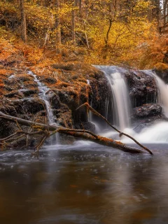 пейзаж, природа, красота