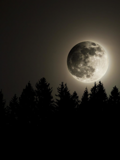 луна, ночь