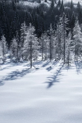 пейзаж, природа, красота