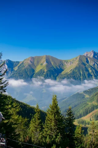 пейзаж, природа, красота