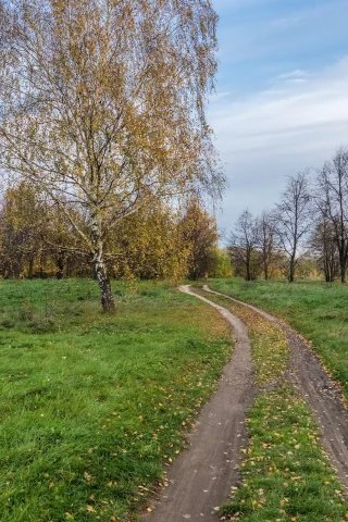 пейзаж, природа, красота