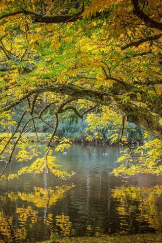 пейзаж, природа, красота