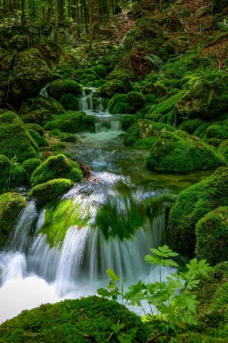 пейзаж, природа, красота