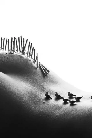 bodyscapes, арт, искусство, винтаж, девушка, секси, голая, тело, модель, красивая, животик, фигура, крупно, поза, ass, попа, попка
