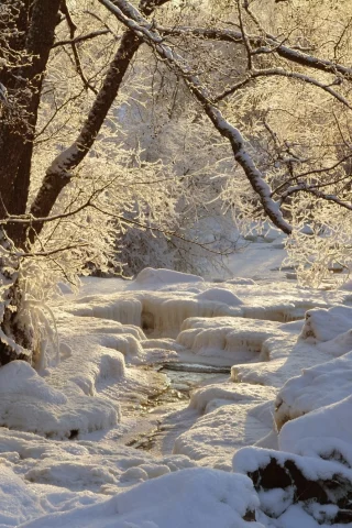 пейзаж, природа, красота