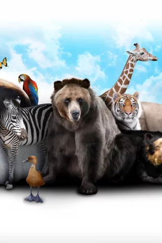 природа, слон, животные