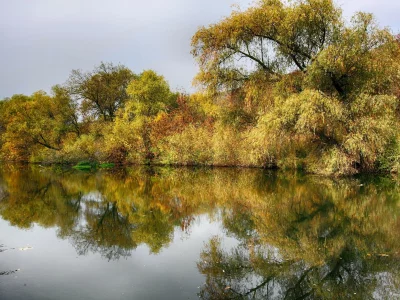 пейзаж, природа, красота