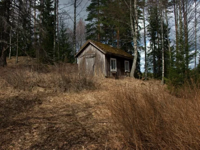 дом, лес