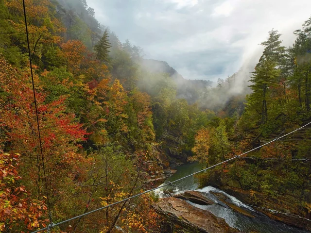 пейзаж, природа, красота