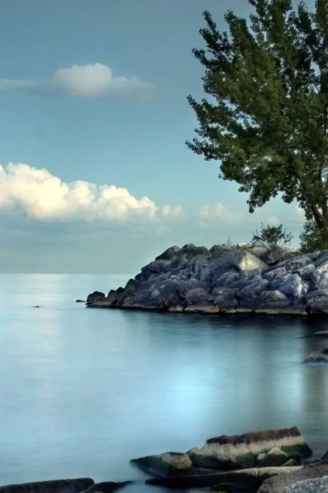берег, море, камни, дерево