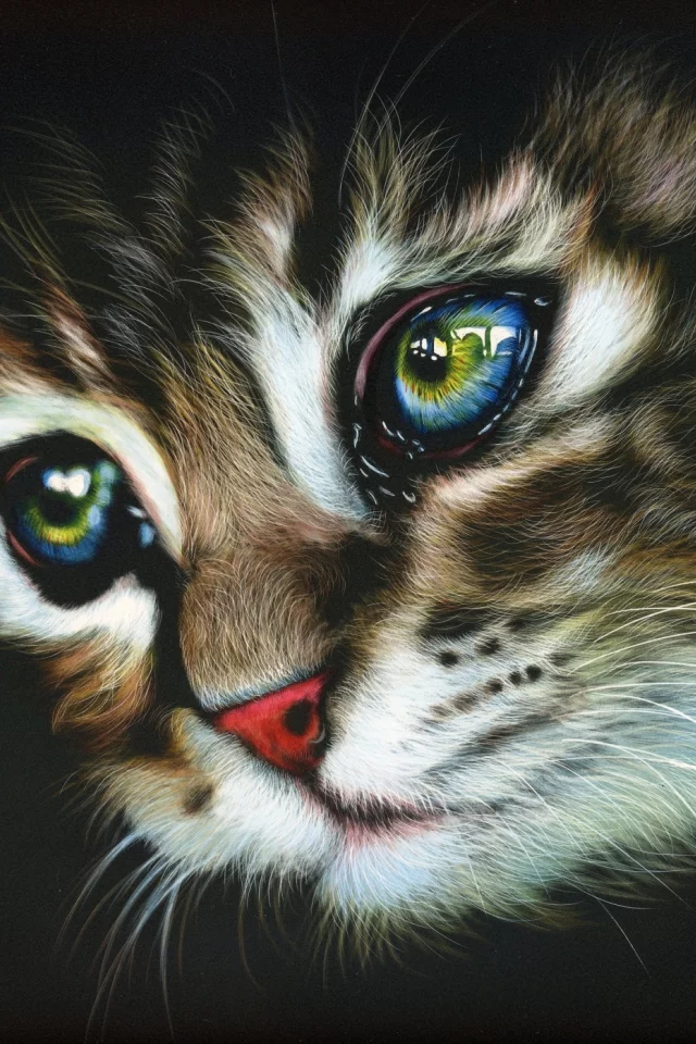 кот, фон