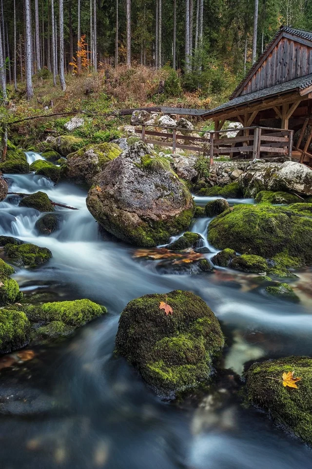 пейзаж, природа, красота