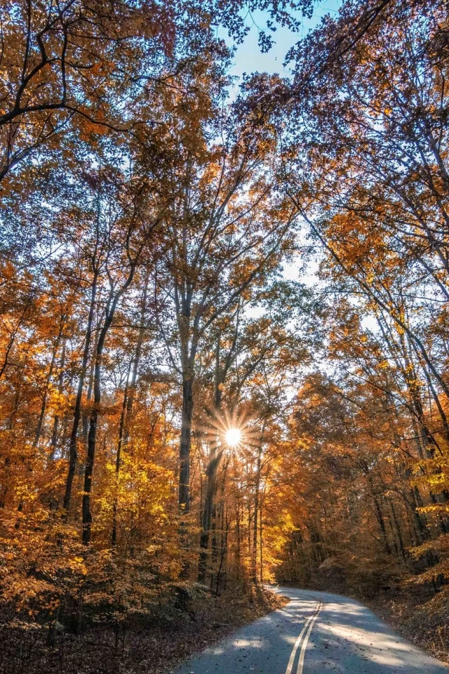 пейзаж, природа, красота
