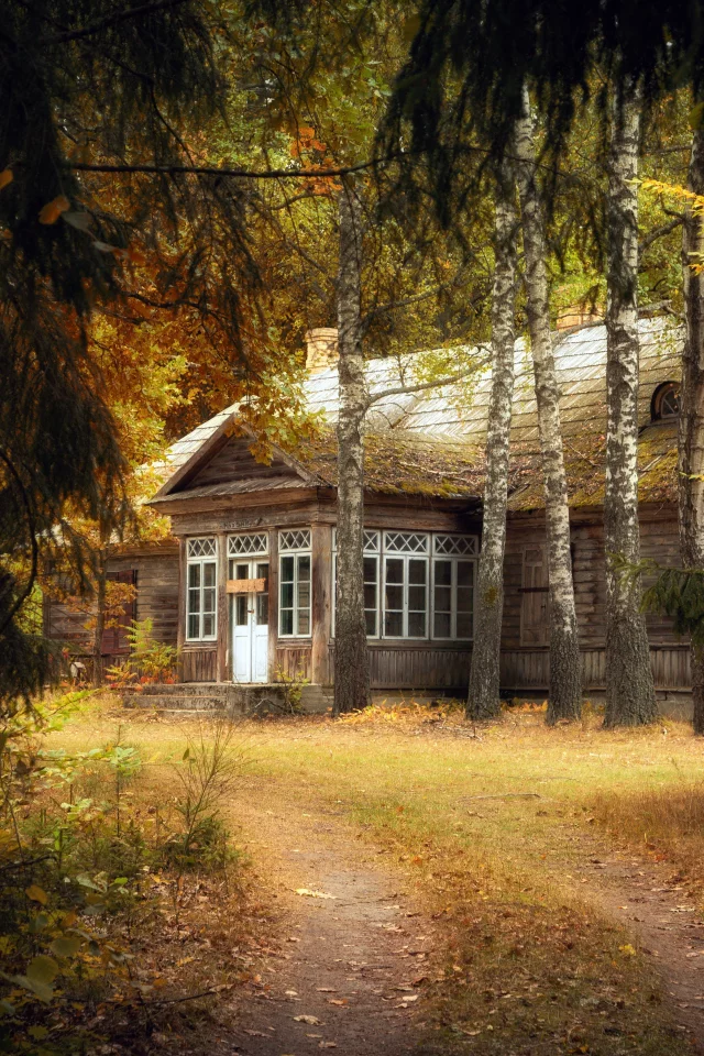 лес, дом, осень