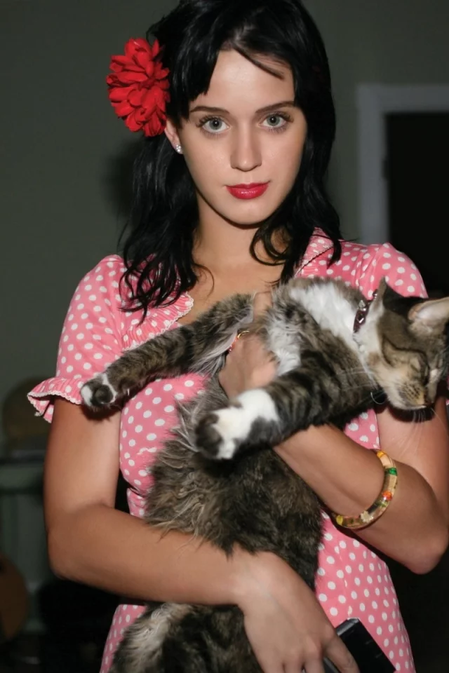 katy, perry