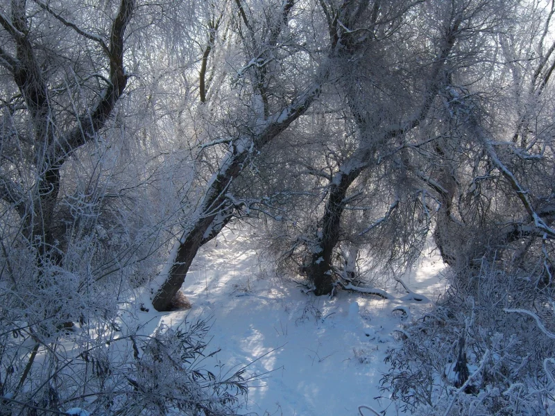 пейзаж, природа, красота, mamala