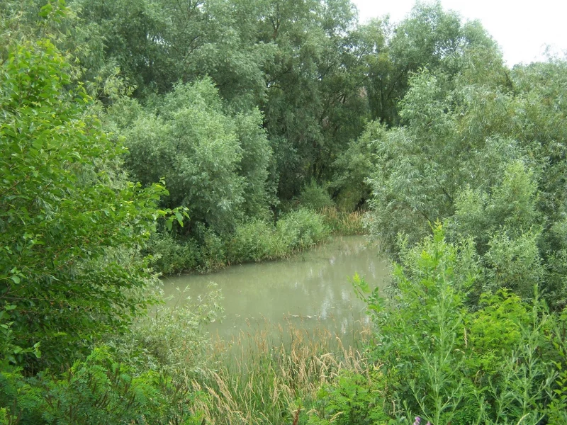 пейзаж, природа, красота, mamala