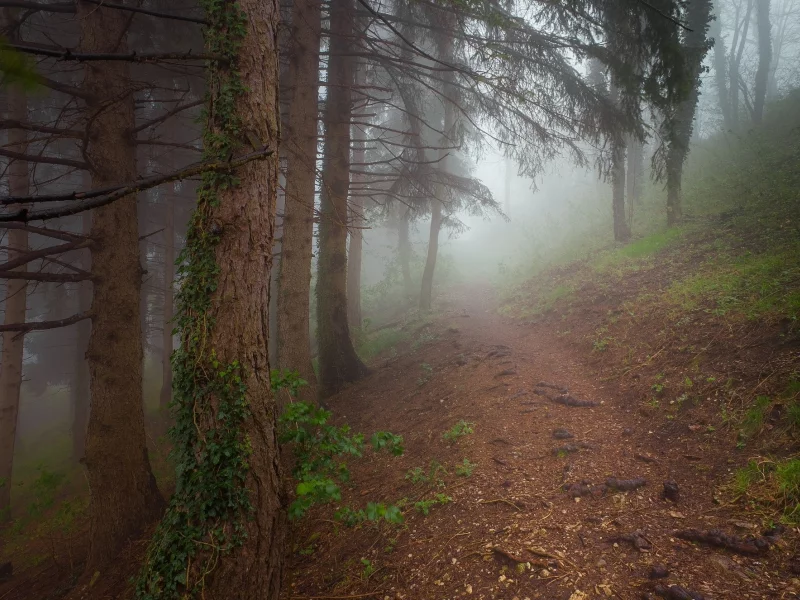 пейзаж, природа, красота