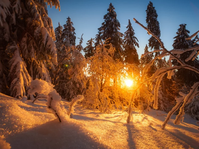 пейзаж, природа, красота