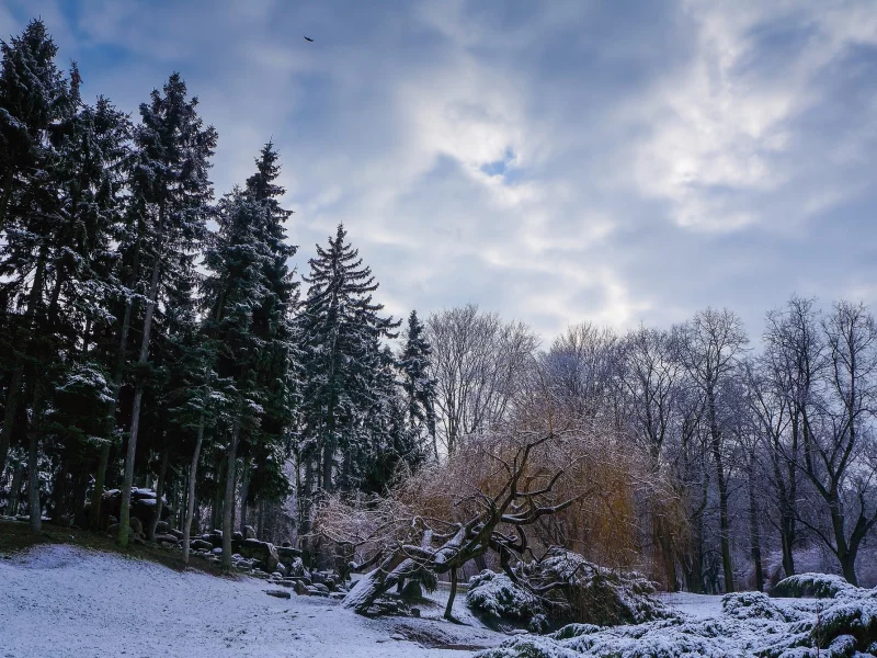 пейзаж, природа, красота