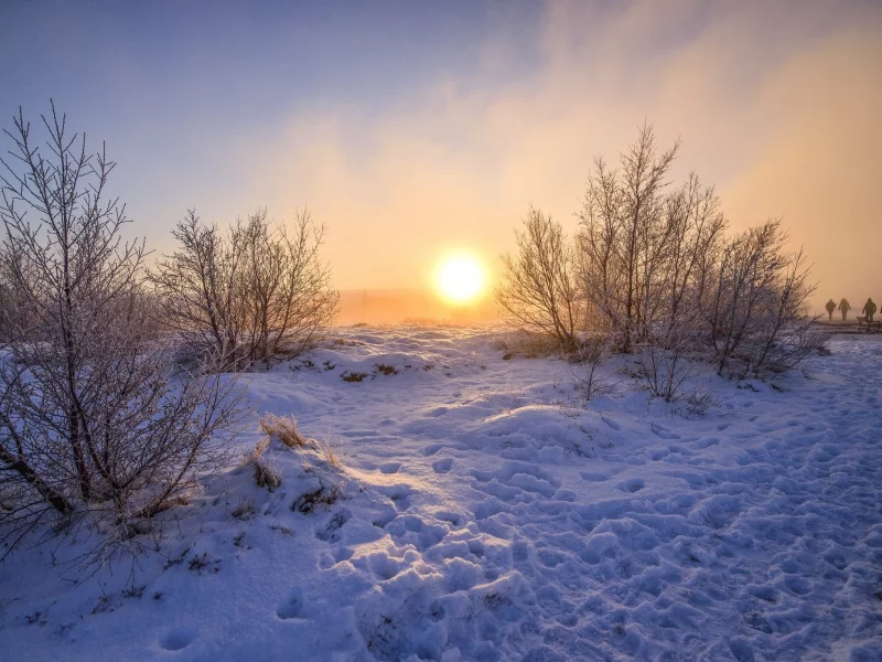 пейзаж, природа, красота