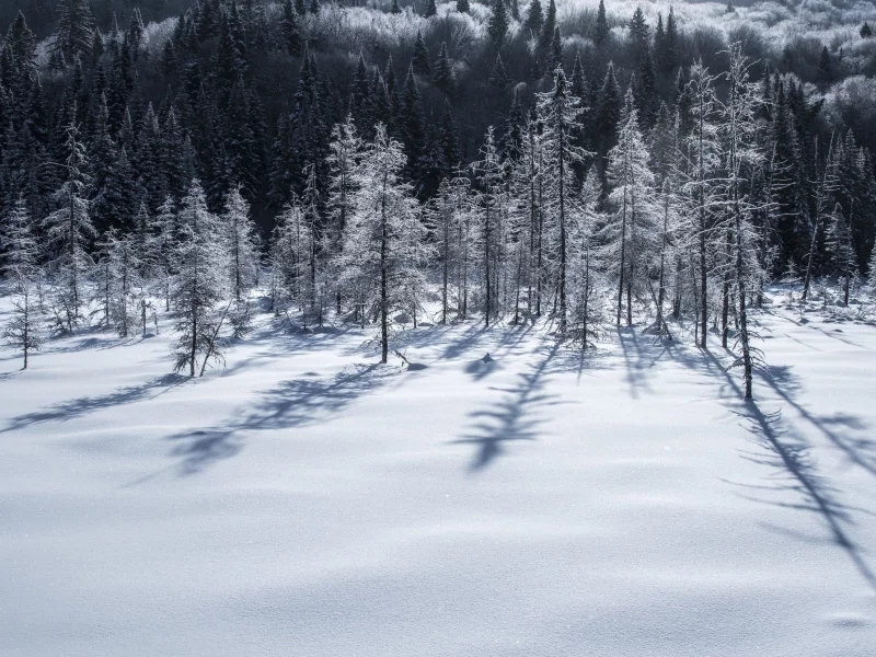 пейзаж, природа, красота