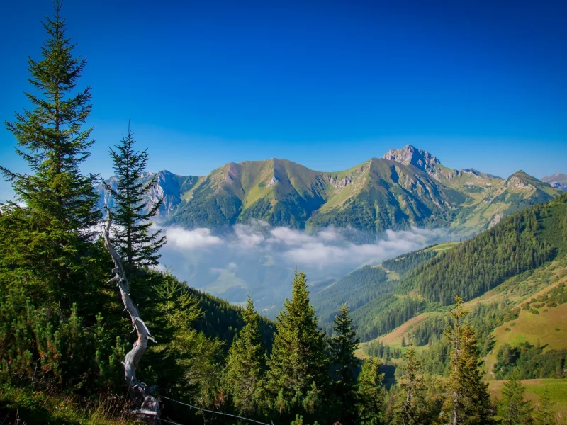 пейзаж, природа, красота