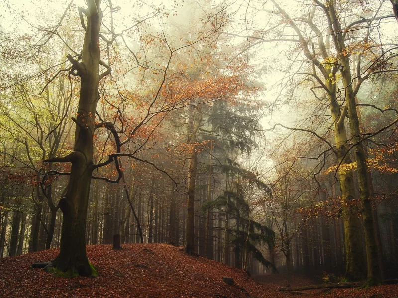 пейзаж, природа, красота