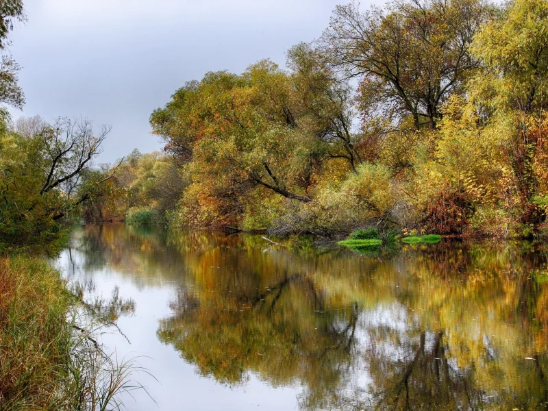 пейзаж, природа, красота