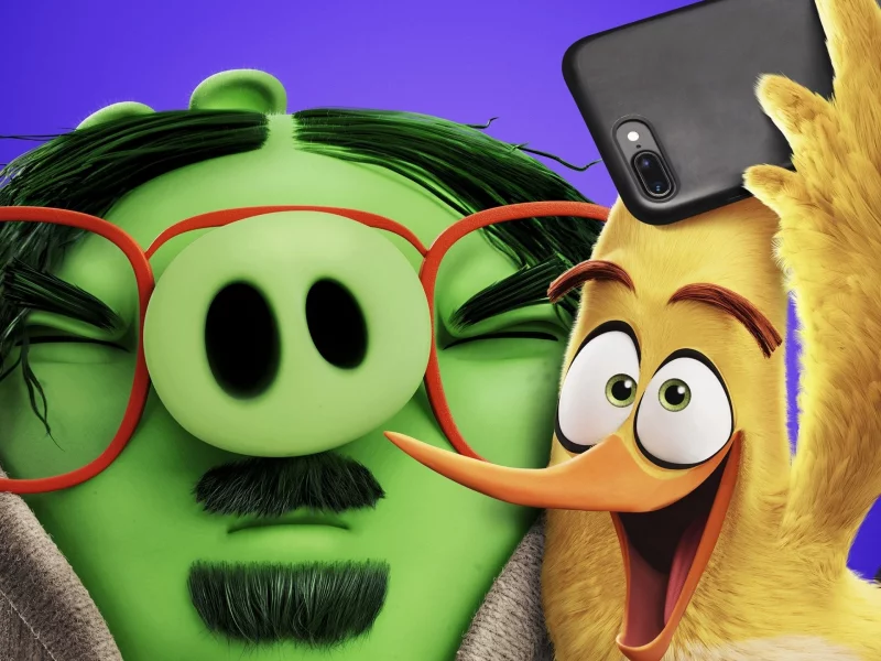 the fngry birds movie 2, свинки, птичка, злость