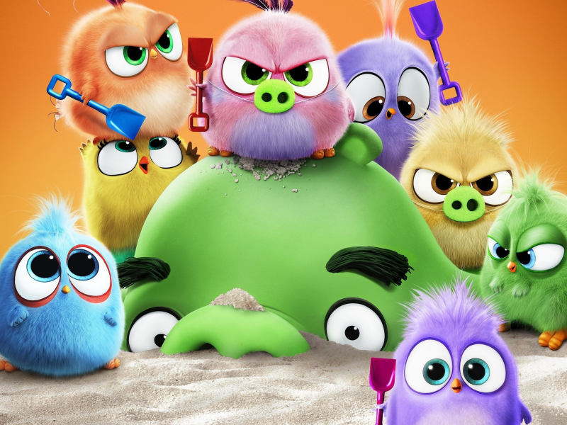 the angry birds movie 2, свинка, птички, птенцы, песок