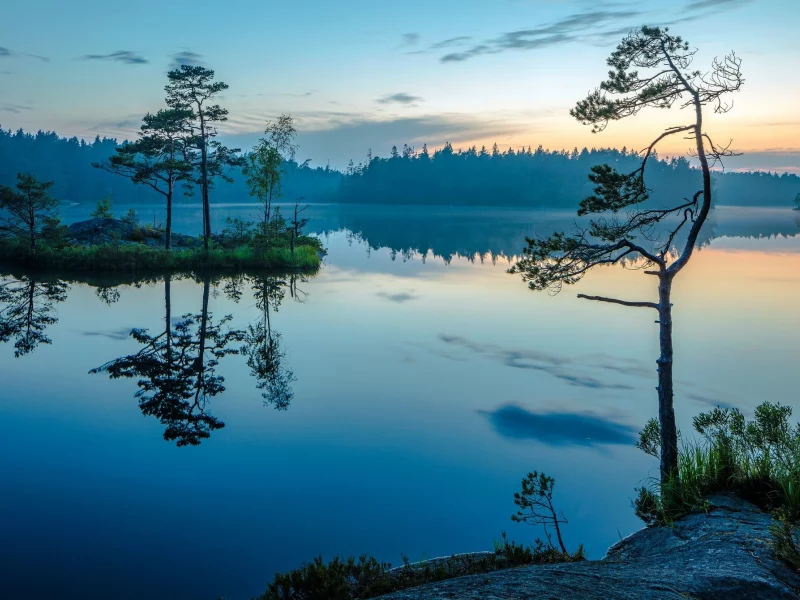 пейзаж, природа, красота