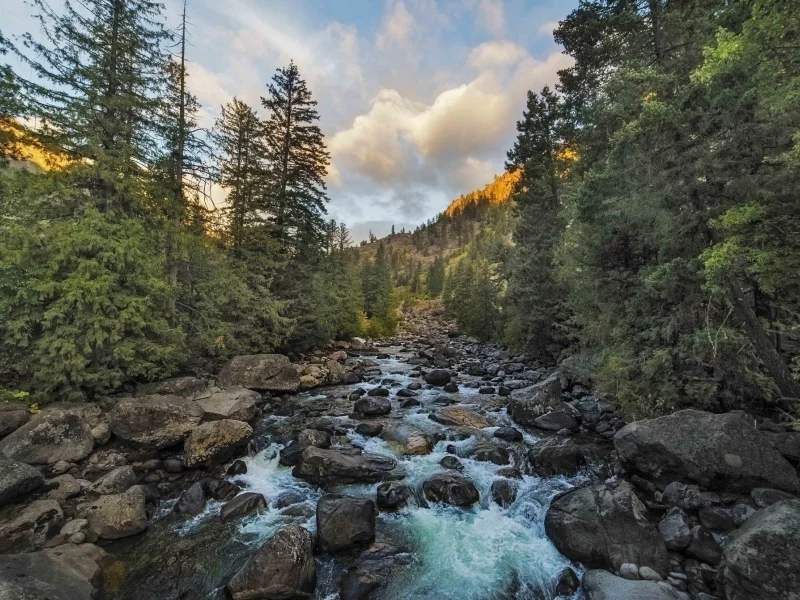 пейзаж, природа, красота