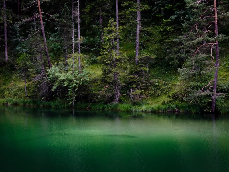 пейзаж, природа, красота