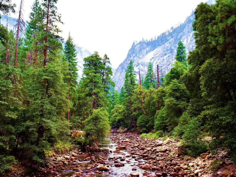пейзаж, природа, красота