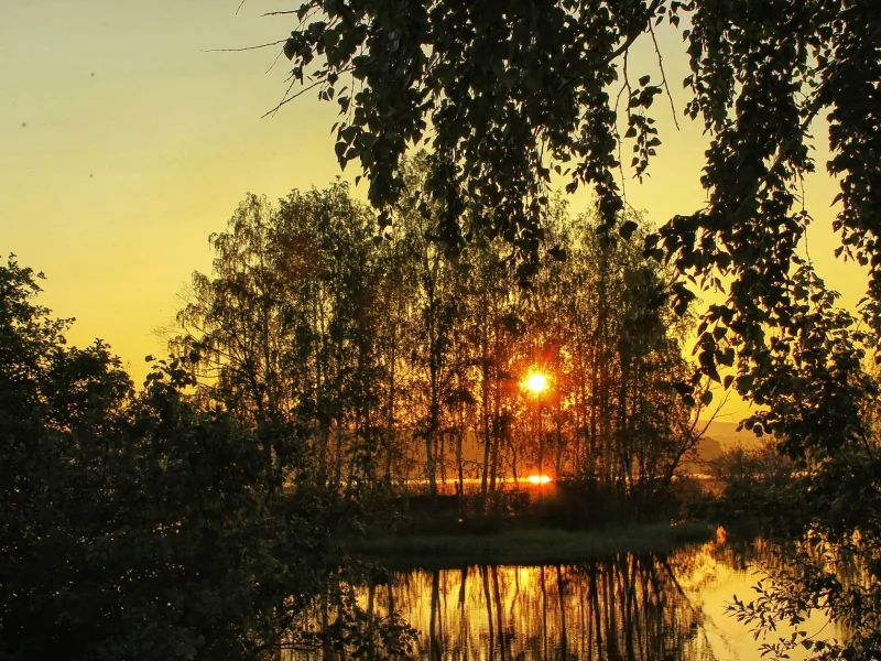 пейзаж, природа, красота