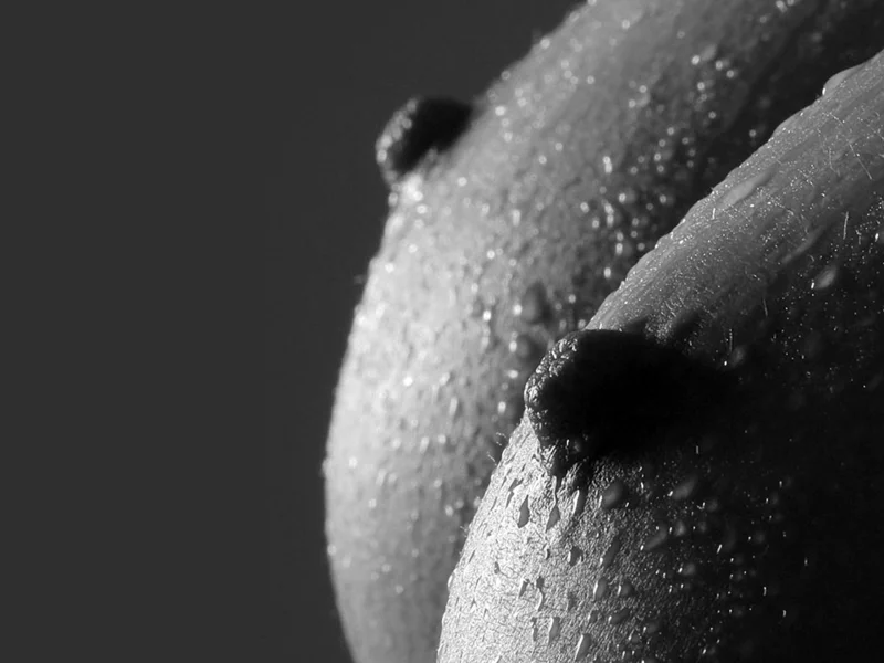 bodyscapes, искусство, винтаж, девушка, секси, голая, модель, красивая, сиськи, соски, сосок, грудь, фигура, крупно, поза, арт