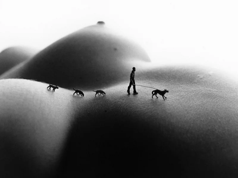 bodyscapes, арт, искусство, винтаж, девушка, секси, голая, тело, модель, красивая, животик, фигура, крупно, поза, сиськи, соски, сосок, грудь, ноги, собака