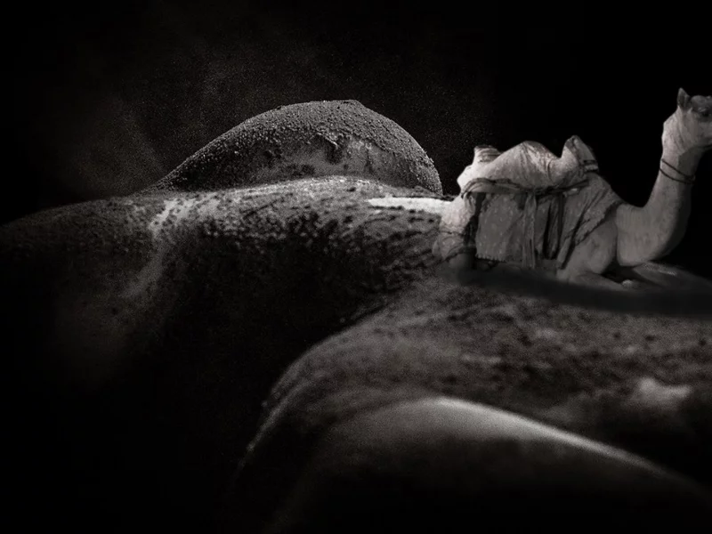 bodyscapes, арт, искусство, винтаж, девушка, секси, голая, тело, модель, красивая, животик, фигура, крупно, поза, лобок, киска, верблюд, шоколад, сиськи, соски, сосок, грудь