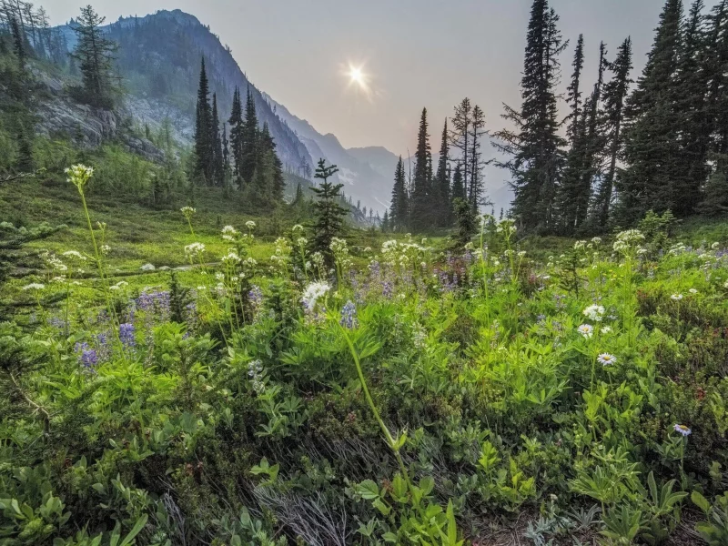 пейзаж, природа, красота