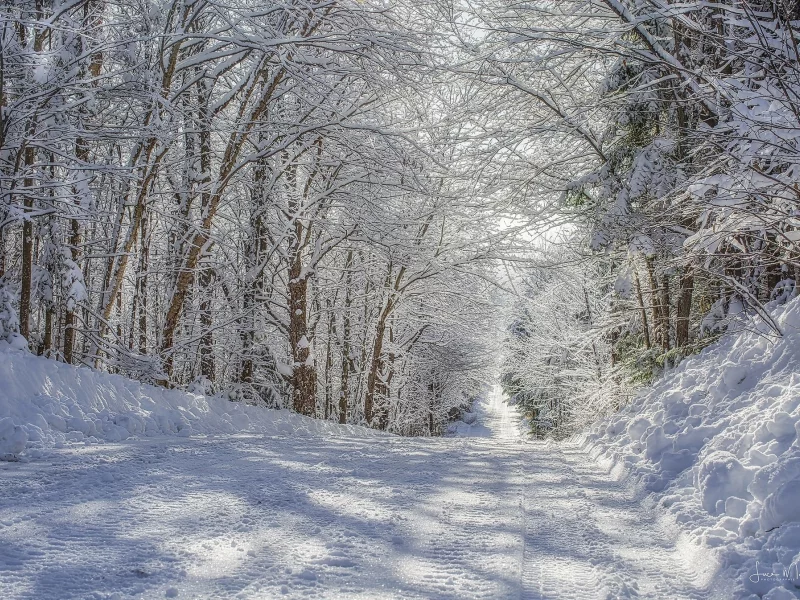 пейзаж, природа, красота