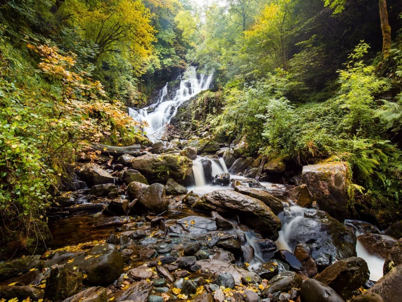 пейзаж, природа, красота