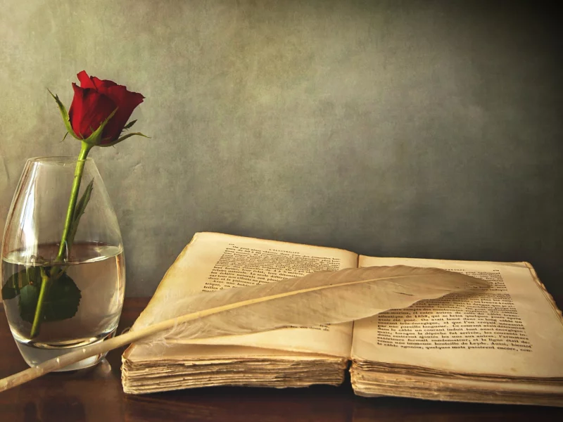 цветок, перо, книга