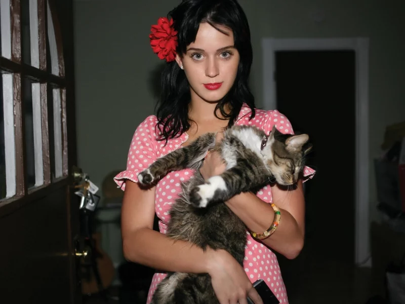 katy, perry