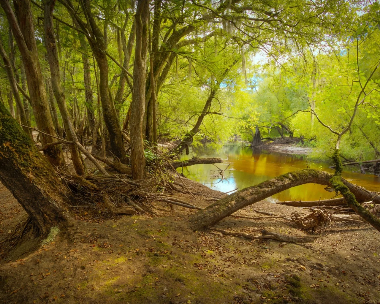 пейзаж, природа, красота
