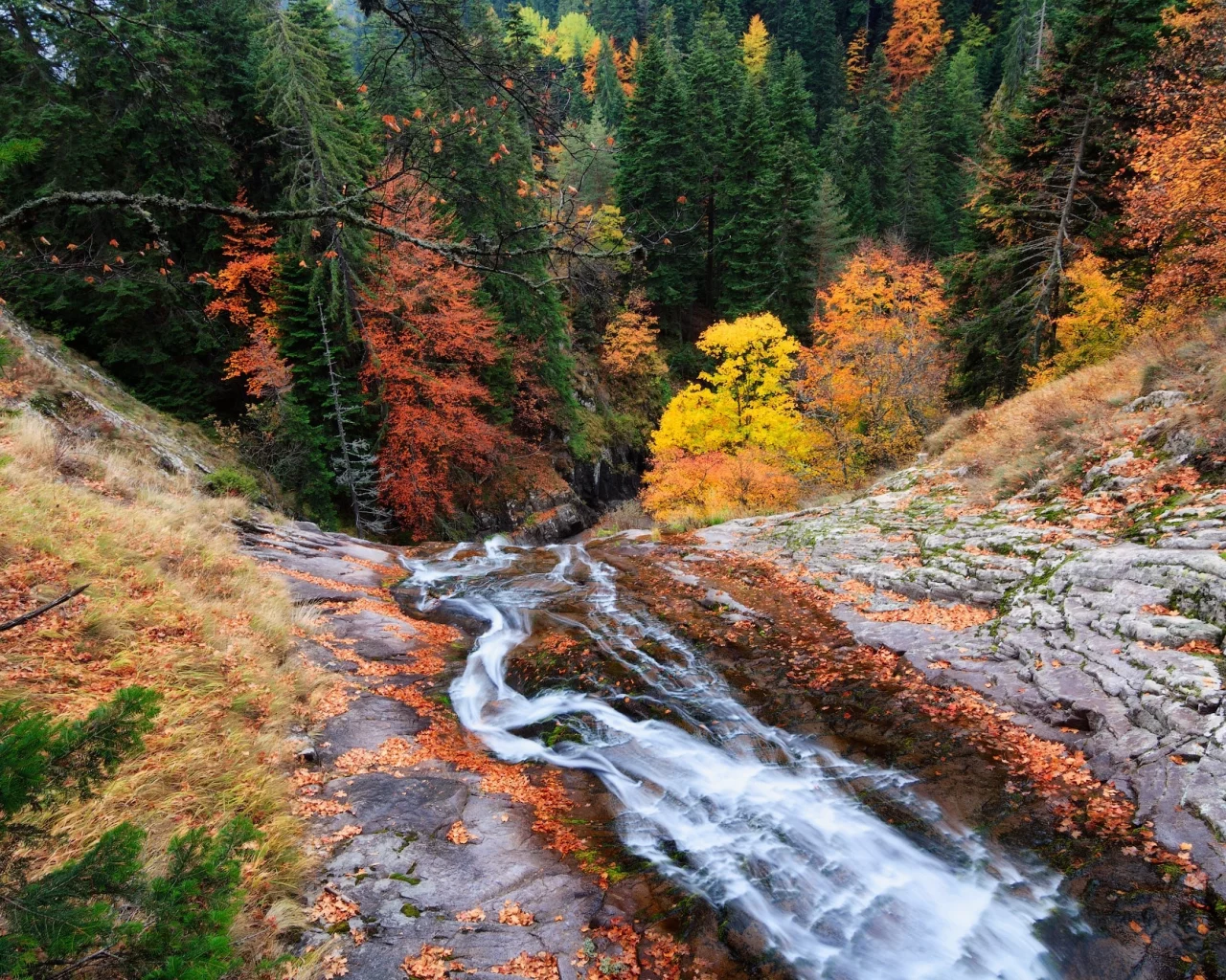 пейзаж, природа, красота